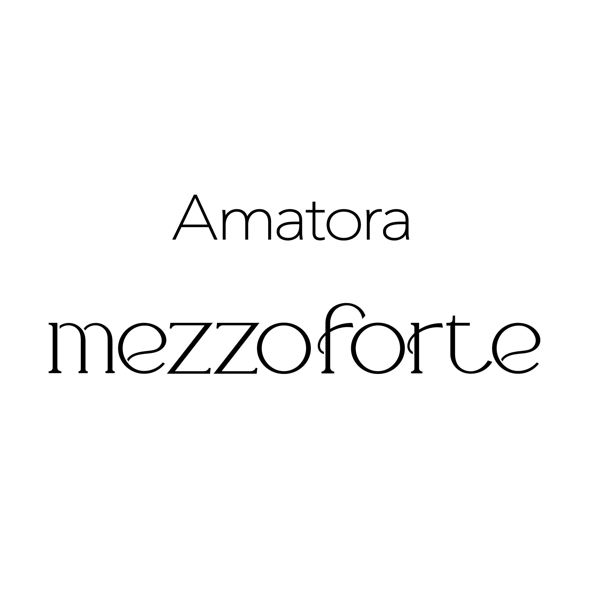 mezzoforte(メゾフォルテ)