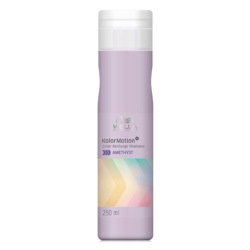 カラーモーション＋ アメジストシャンプー ２５０ｍｌ